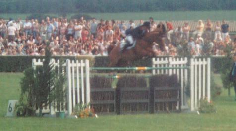 gys06.jpg
