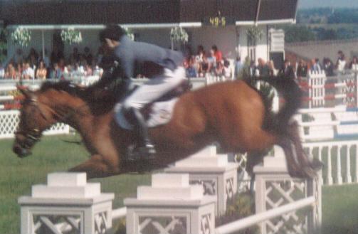 gys09.jpg