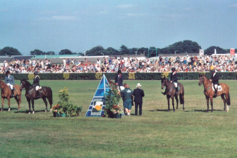 gys15.jpg