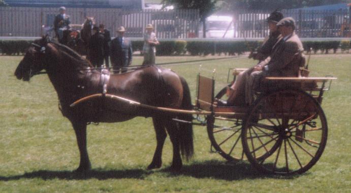 gys17.jpg